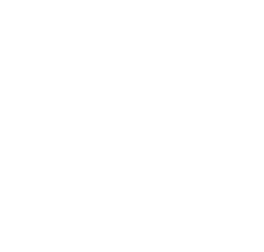 Best Logo - Zeylan Logo - Sphiria Digital Studio