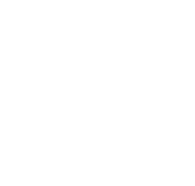 Best Logo - Zeylan Logo - Sphiria Digital Studio